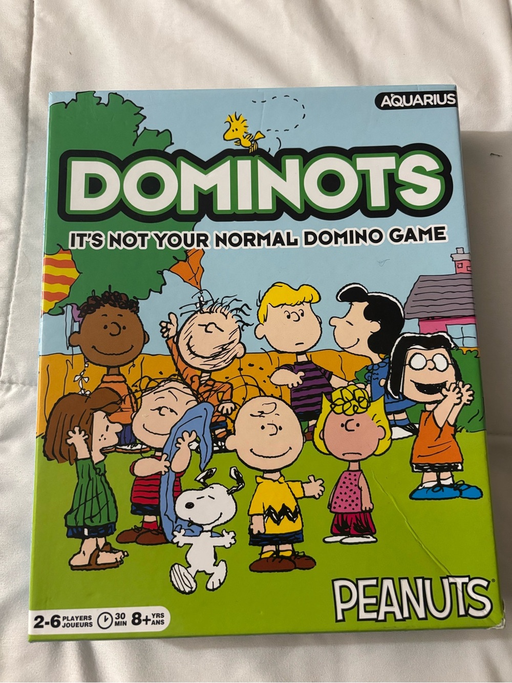 Aquarius Peanuts Dominots Family Game - Green Edition